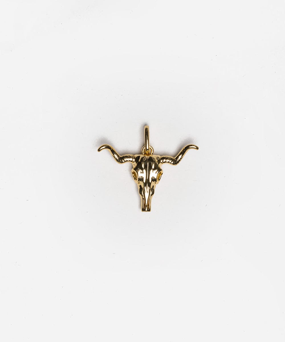 Longhorn Hat Charm - GIGI PIP