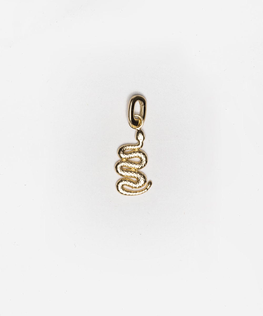 A gold snake hat charm on a white background #color_gold