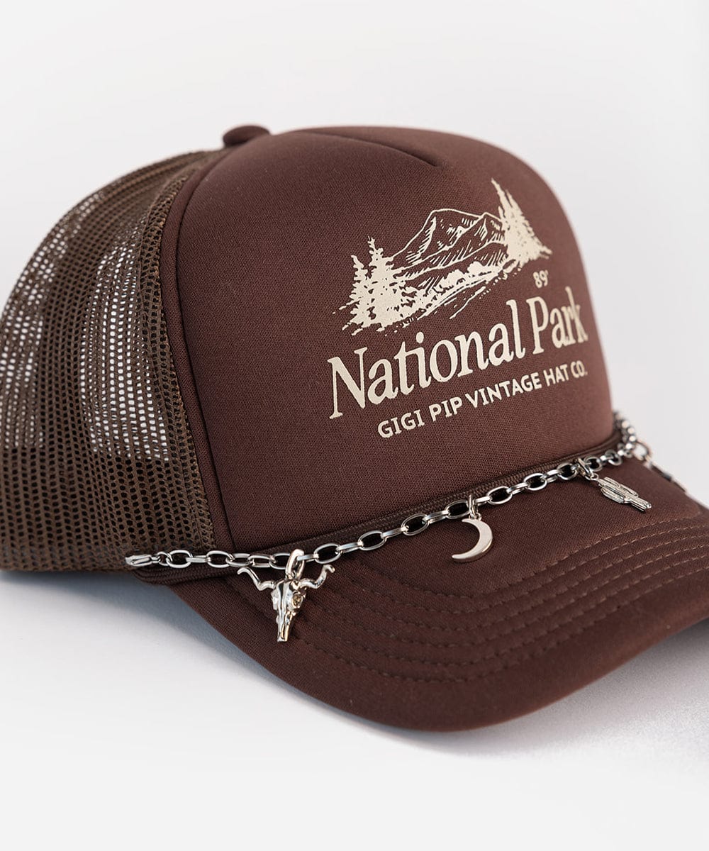 A brown cap with a logo and the text 'National Park' and 'GIGI PIP VINTAGE HAT CO.', and a silver chain with a silver moon hat charm, longhorn hat charm and cactus hat charm on a white background #color_silver