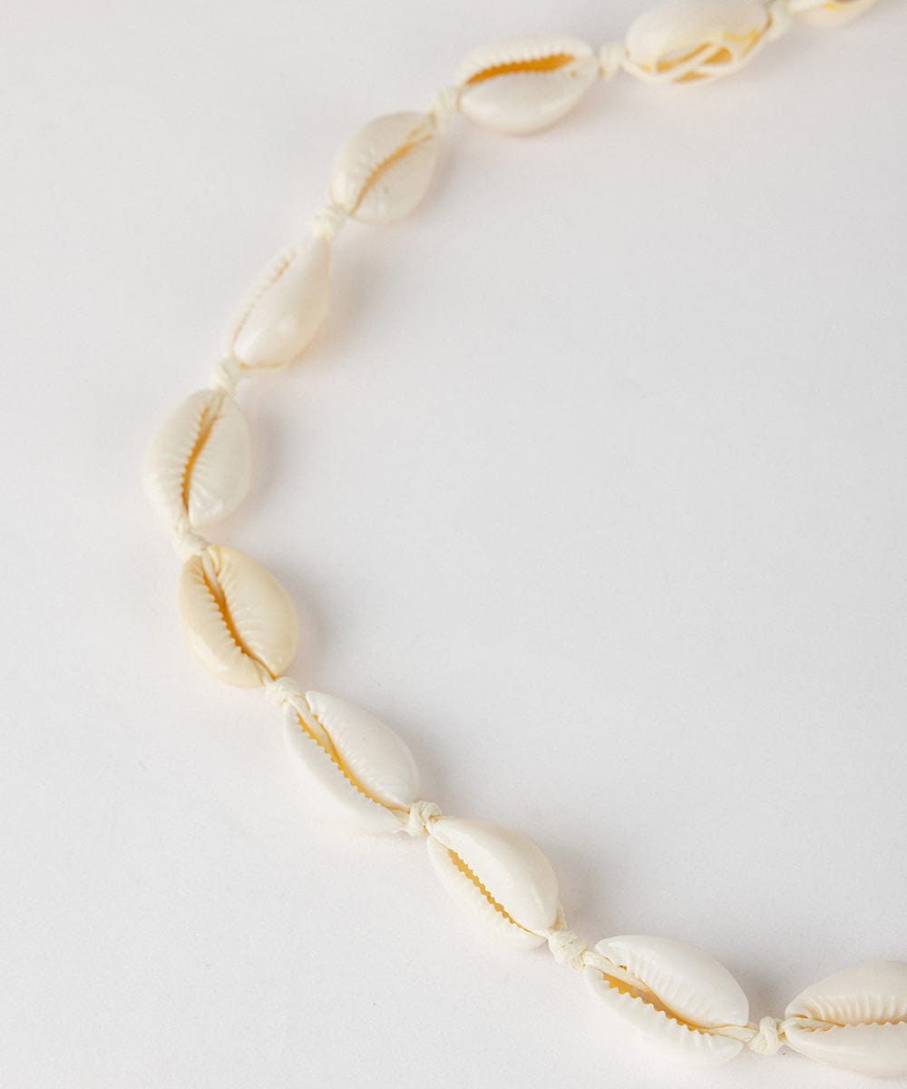 A white shell hat band on a plain background #color_natural