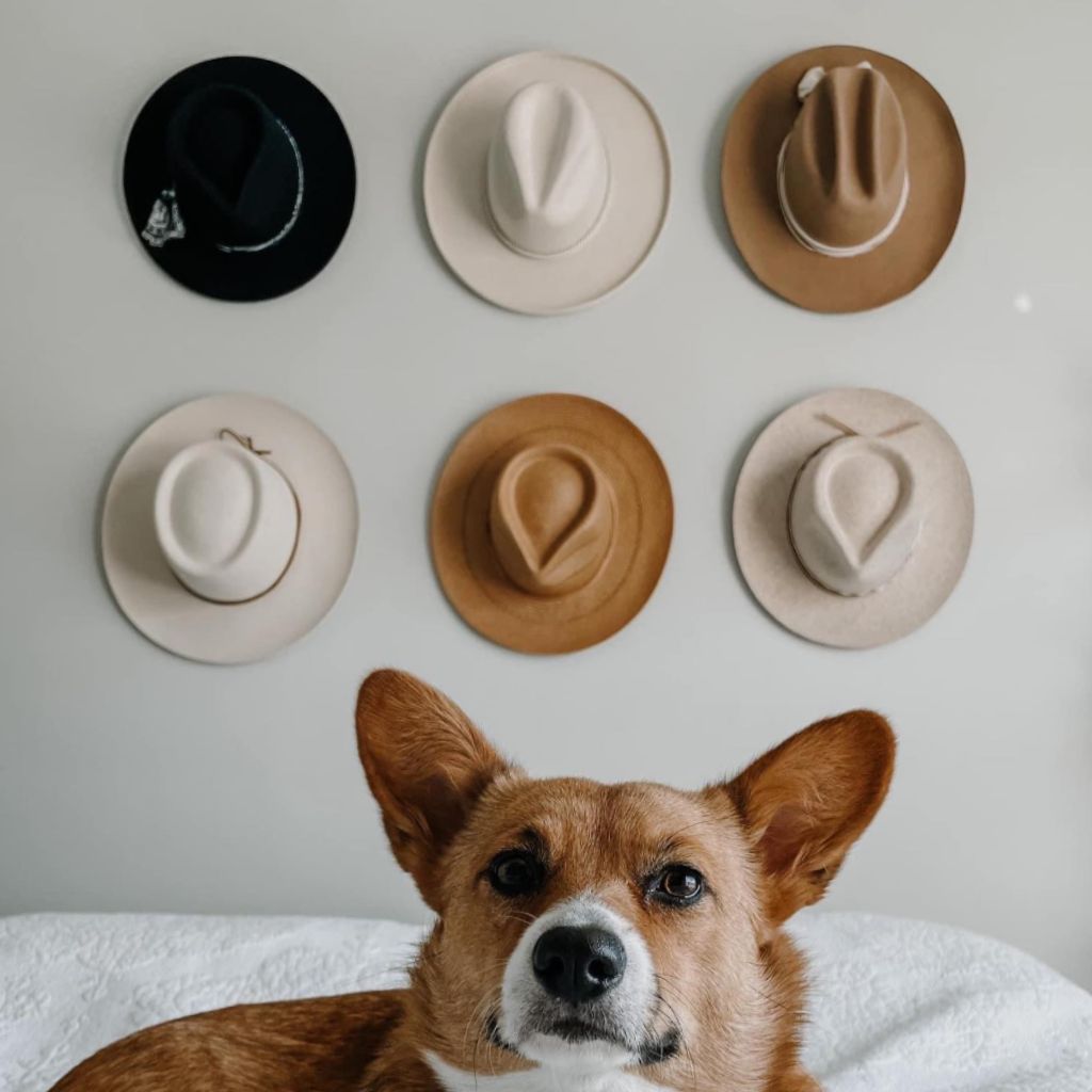Stylish hats