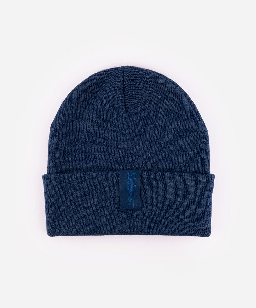 Navy blue beanie on a white background #color_navy