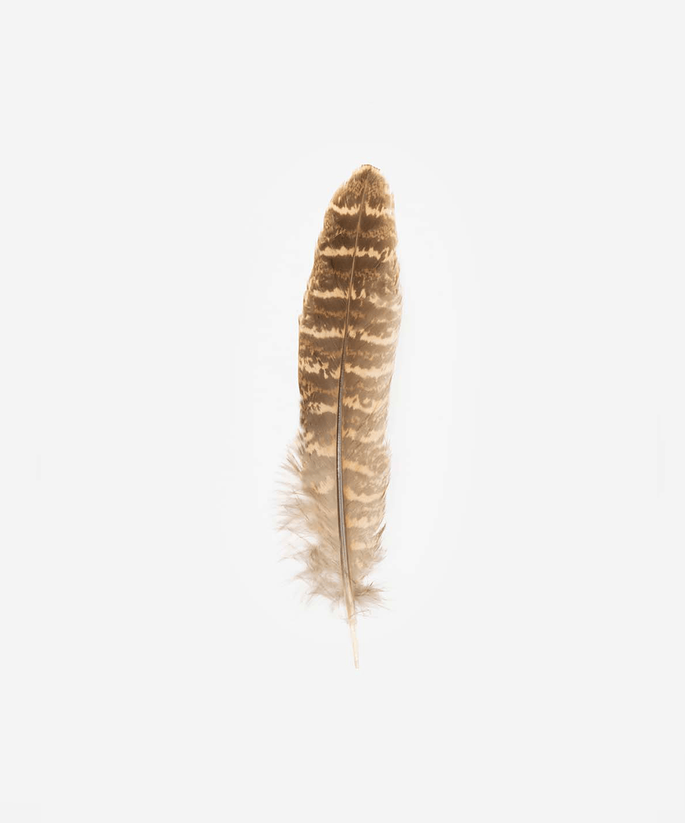 Pheasant Tail Hat Feather