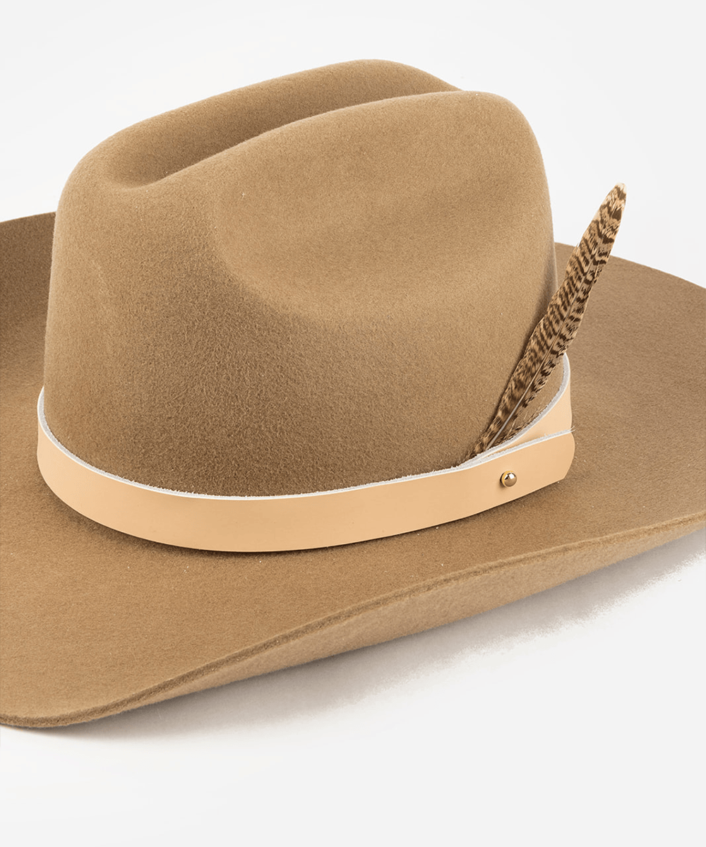 Brown cowboy hat with a band and a brown female ringneck hat feather on a white background #color_brown