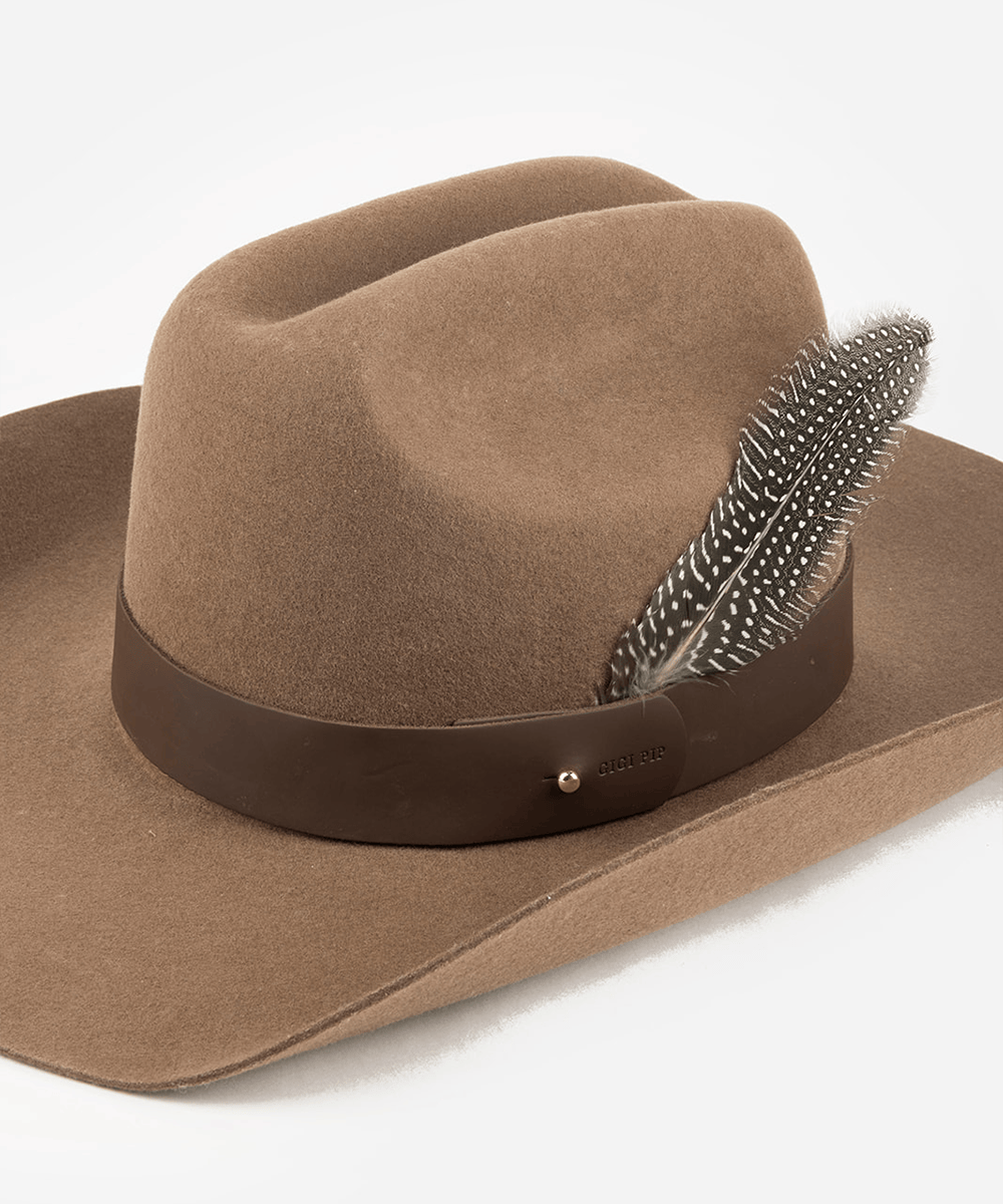 Brown cowboy hat with a band and a dark brown hat feather on a plain background #color_dark brown