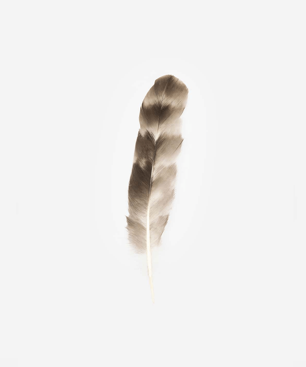 Natural Chinchilla Hat Feather