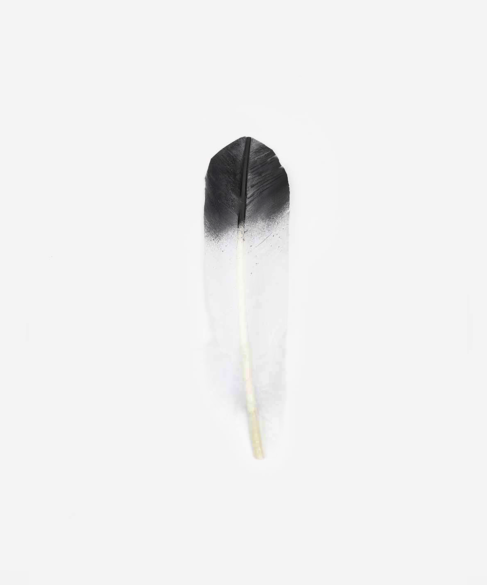 White Tip Hat Feather